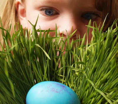 Egg-cellent Behavior Egg Hunt